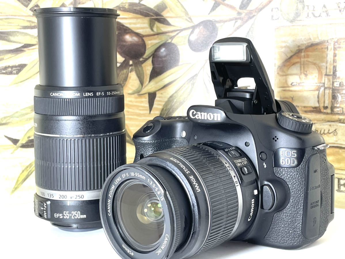 CANON EOS60D レンズ2本付き( 18-55mm、55-250mm)-