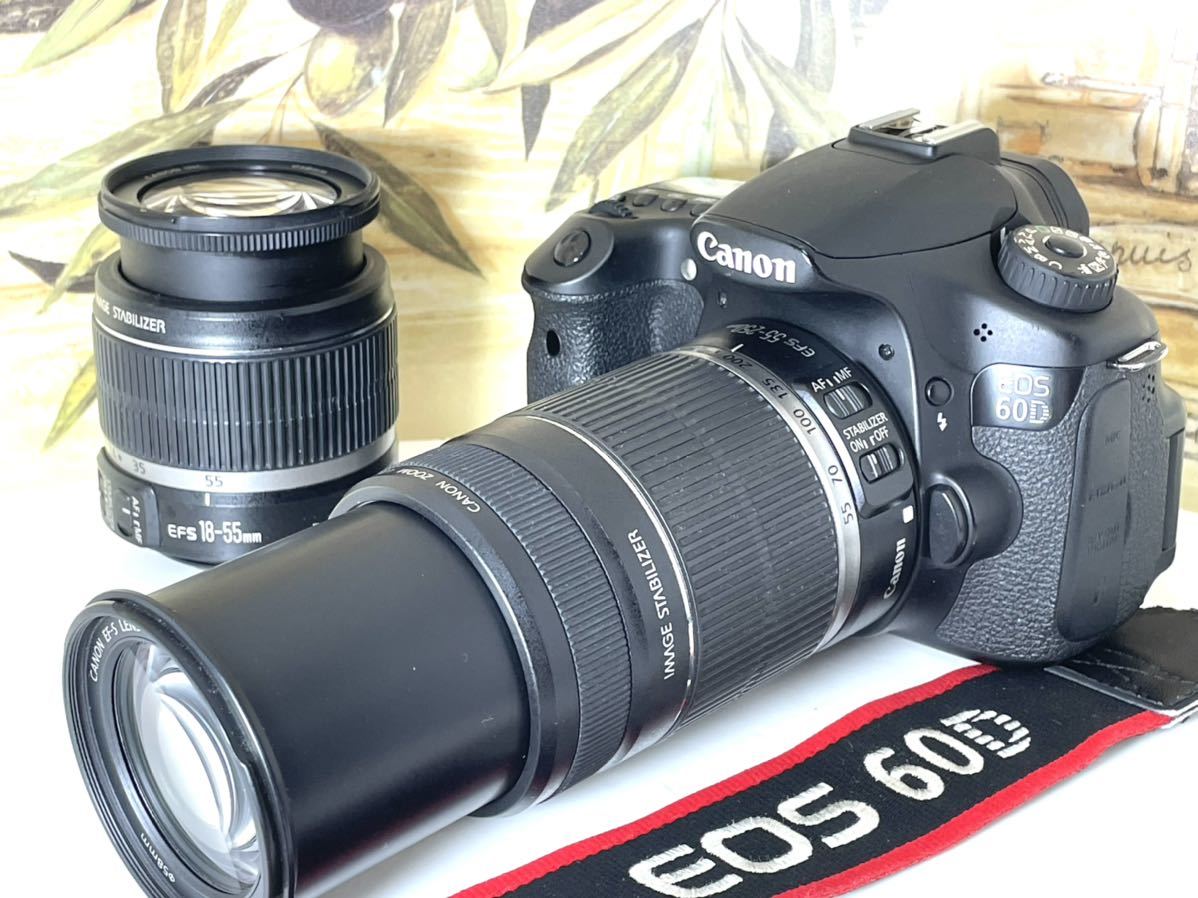 CANON EOS60D レンズ2本付き( 18-55mm、55-250mm)-