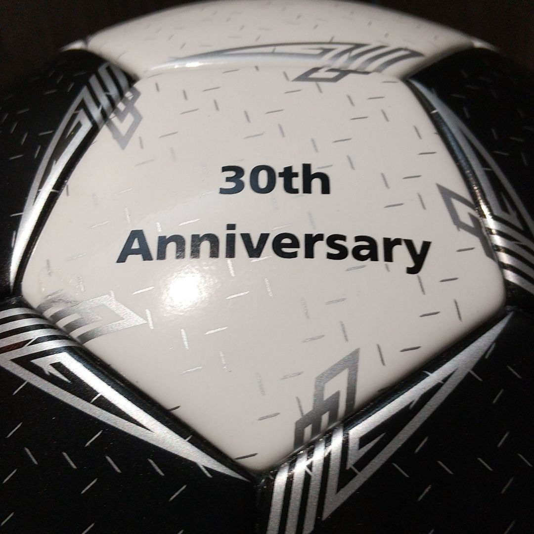 期間限定発売30周年記念限定生産moltenペレーダ5000 芝 期間限定発売30周年記念限定生産moltenペレーダ5000 芝