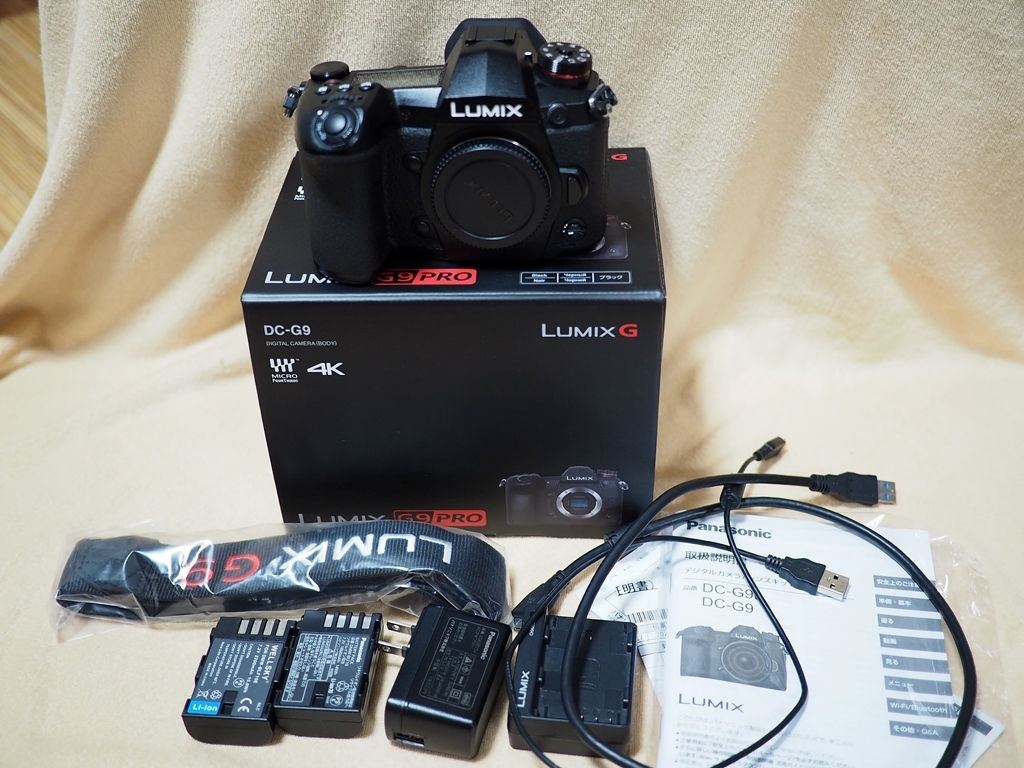○PANASONIC パナソニック LUMIX DMC-G9 ボディ 美品 ショット数737枚