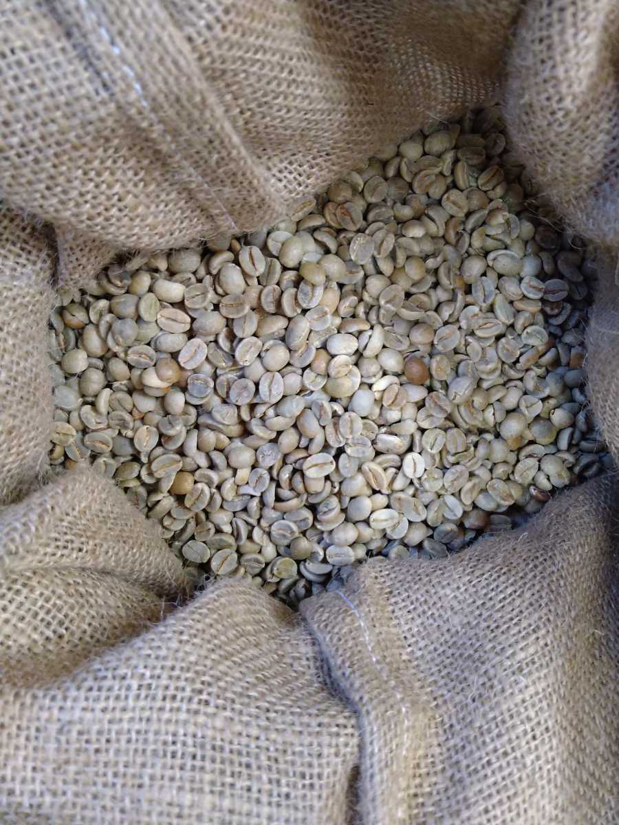 コーヒー生豆ブラジルNo2スクリーンサイズ18　800g