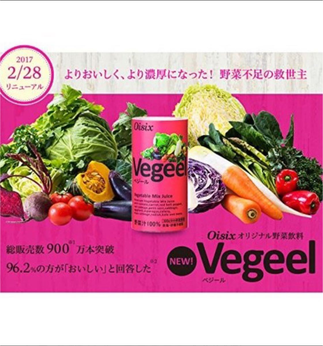 アウトレット☆送料無料 oisix オイシックス Vegeelべジール 野菜 