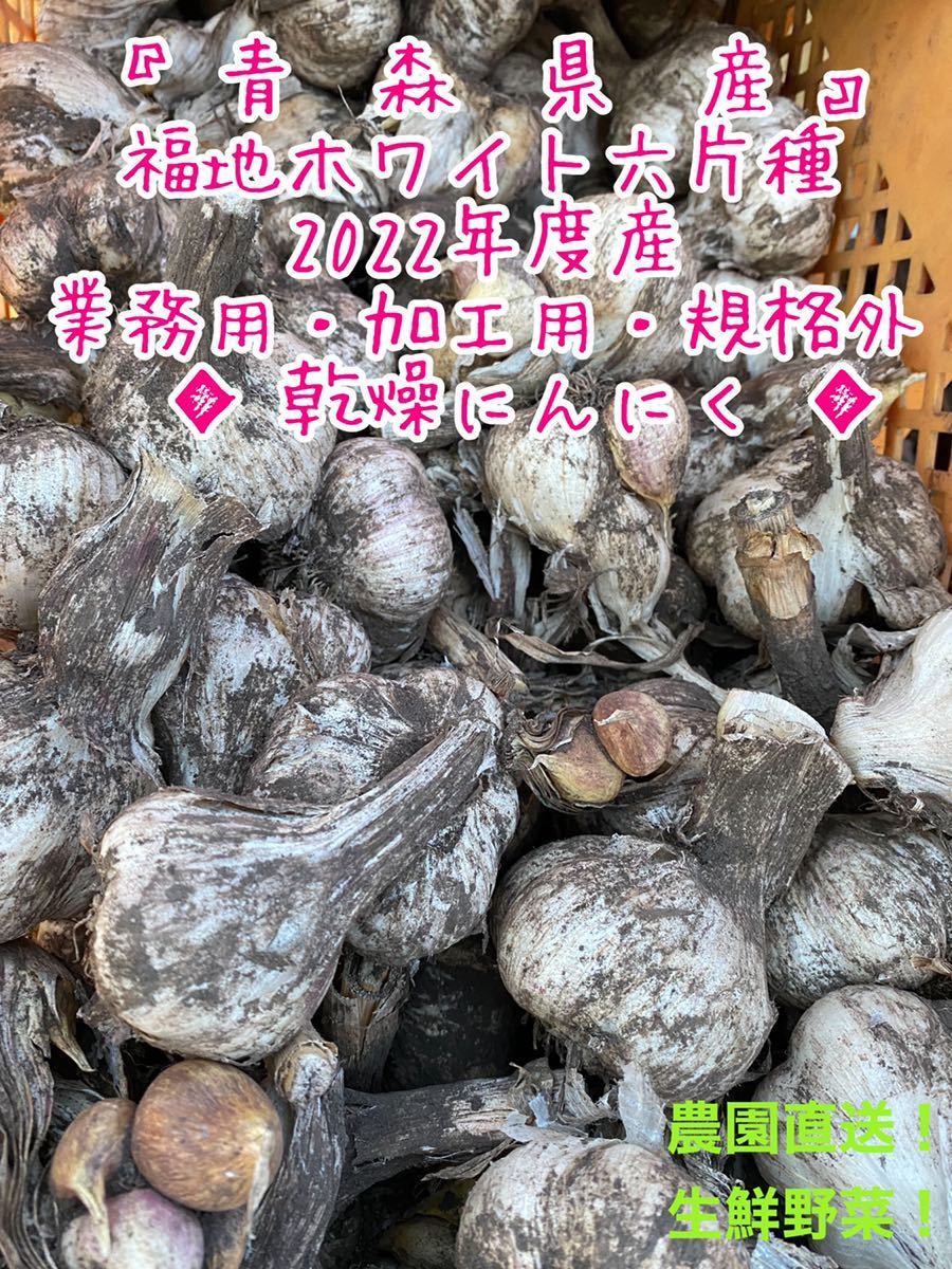 青森県産 業務用 加工用 規格外 福地ホワイト六片種 新物 乾燥にんにく L〜2Lサイズ混合 土付き 5キロ 送料無料_画像1