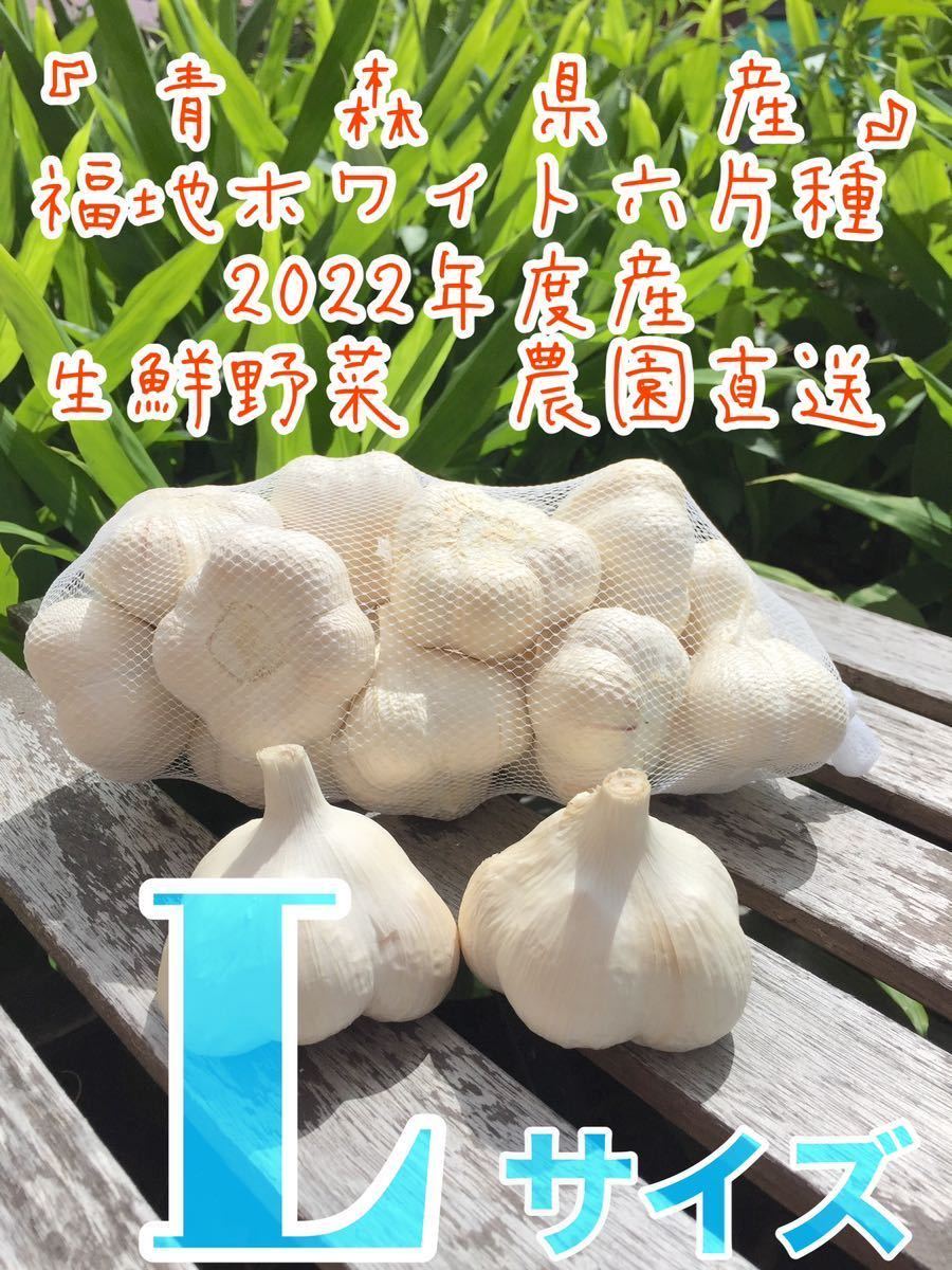 青森県産にんにく 福地ホワイト六片種 令和4年 ニンニク Lサイズ 製品