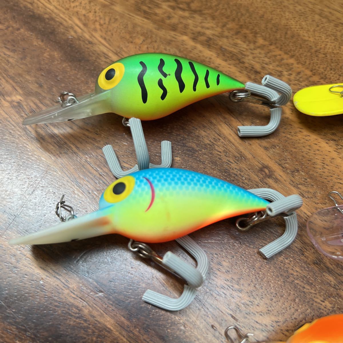早い者勝ち Storm ストーム Wiggle Wartウィグルワート 5個セット Catalasarenas Com 早い者勝ち Storm ストーム Wiggle Wartウィグルワート 5個セット Catalasarenas Com