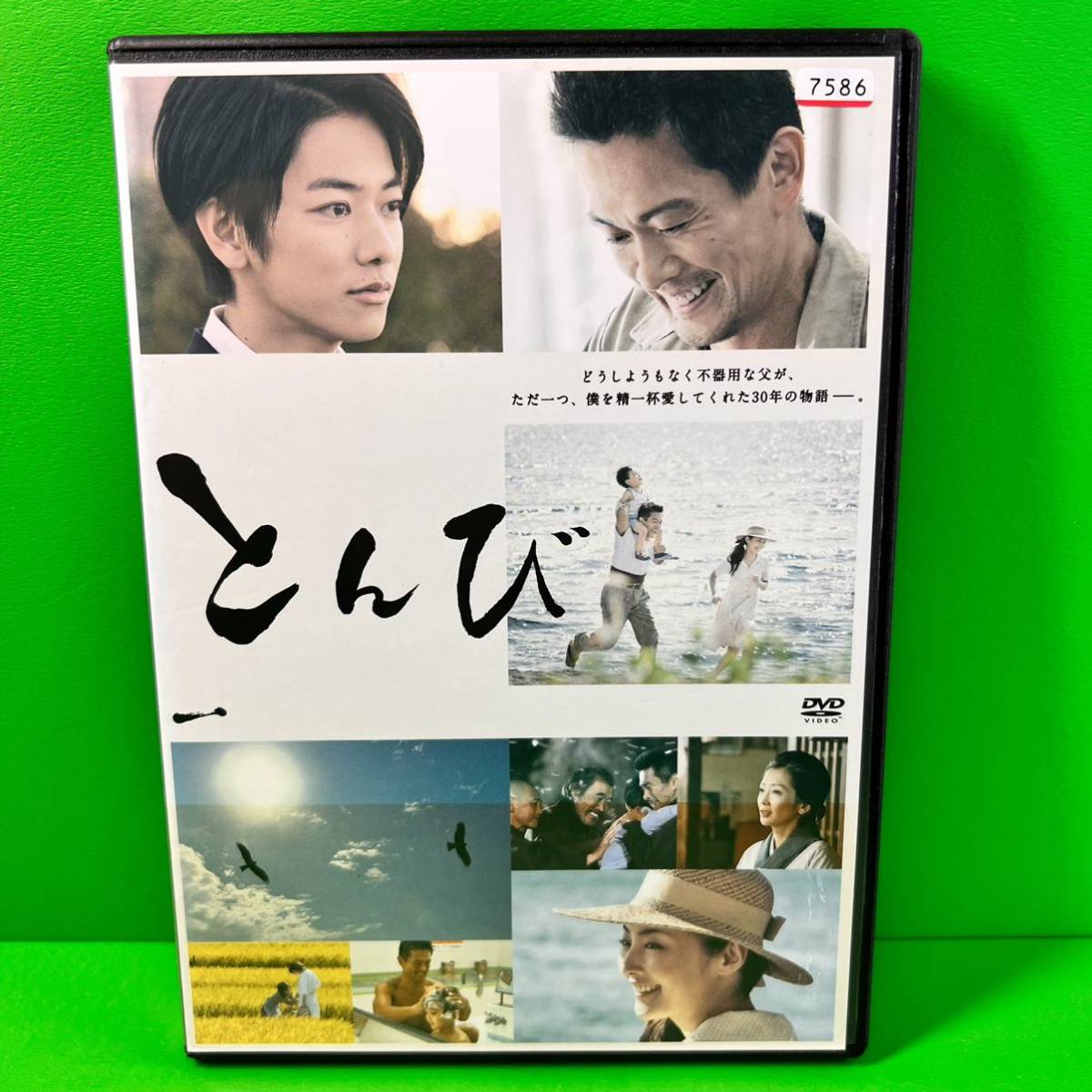 ケース付 とんび DVD 全6巻セット 全巻 内野聖陽/佐藤健