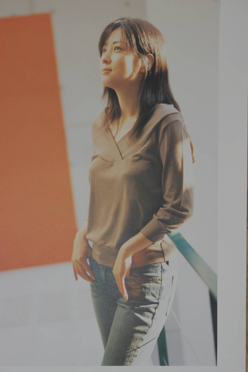 ZARD what a beautiful memory 2008 B2 ポスター 全30枚セット 特典