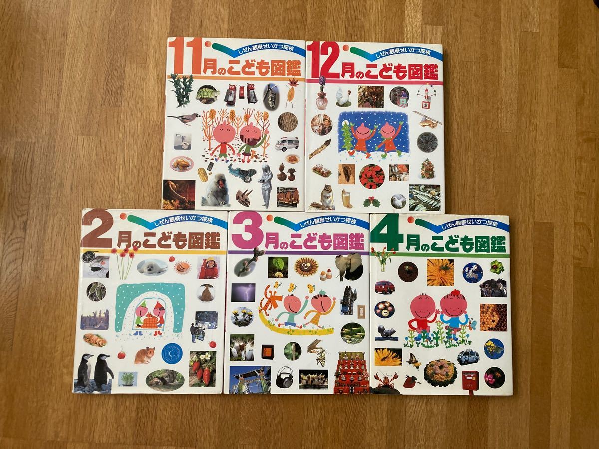 【5冊セット】しぜん観察せいかつ探偵 こども図鑑 11月,12月,2月,3月,4月