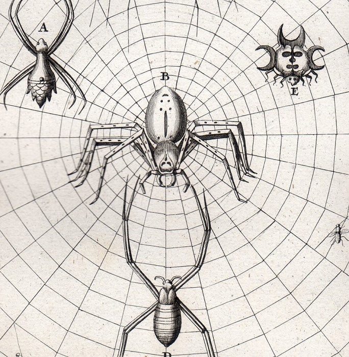 1732 year shoihitsa- god . nature . copperplate engraving Tab.621i The ya paper no. 59 chapter 5.6.