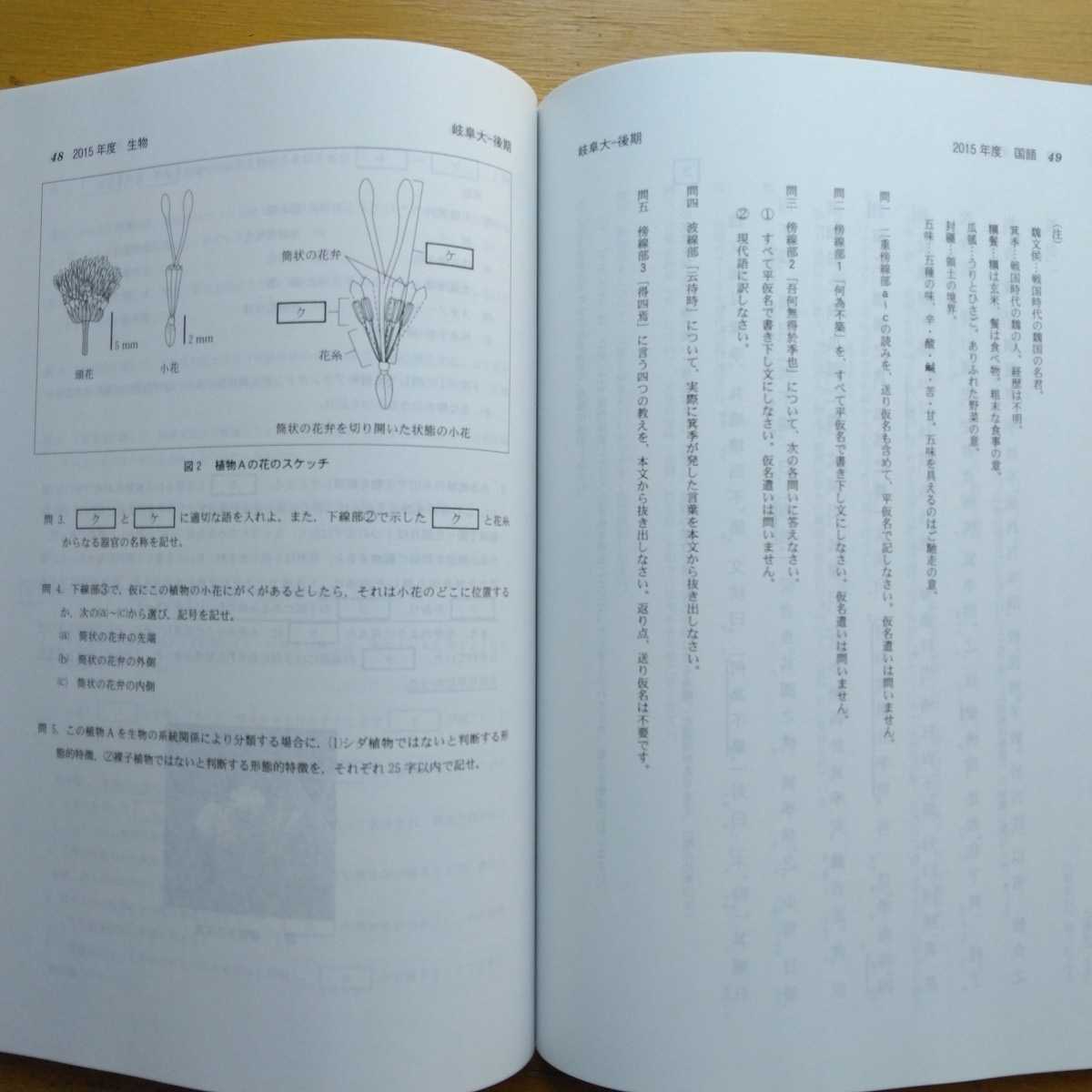  бесплатная доставка Gifu университет поздняя версия red book 2017