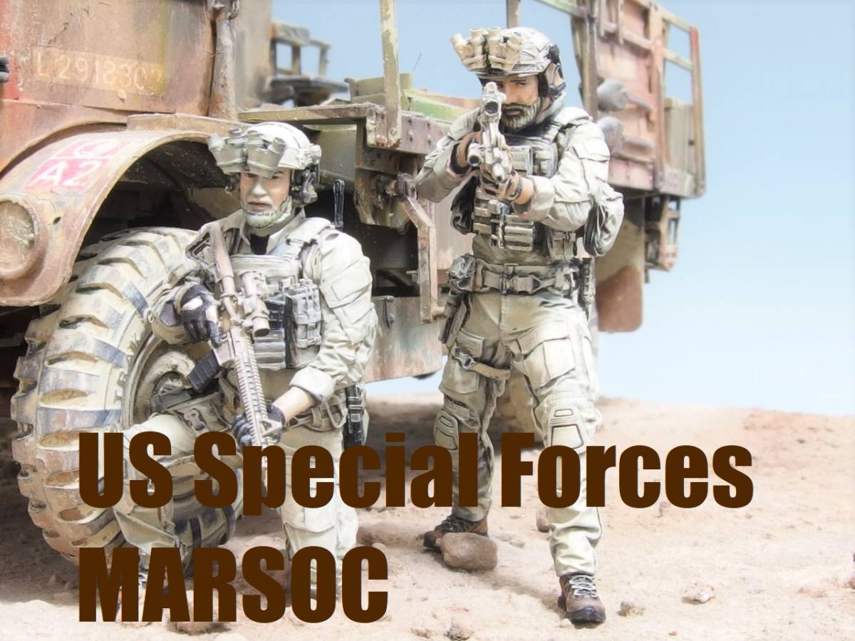 1/35 US SPECIAL FORCES/MARSOC 現用アメリカ特殊部隊 panoramic night vision goggles レジンモデル 塗装完成品 ミリタリーフィギュア