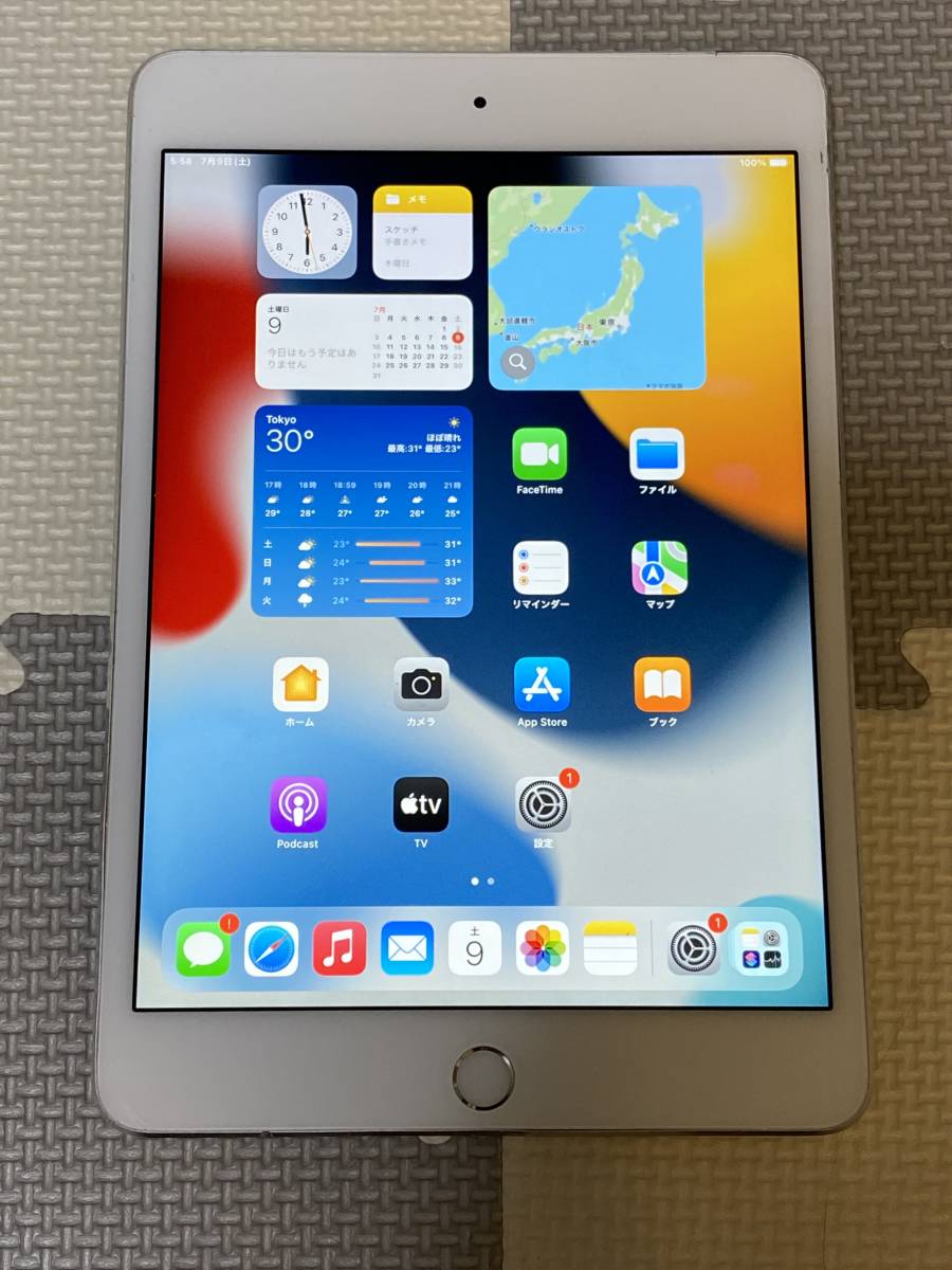 iPad mini4 WiFi+Cellular(simフリー) 16GB 充電163回 良品 初期保証有