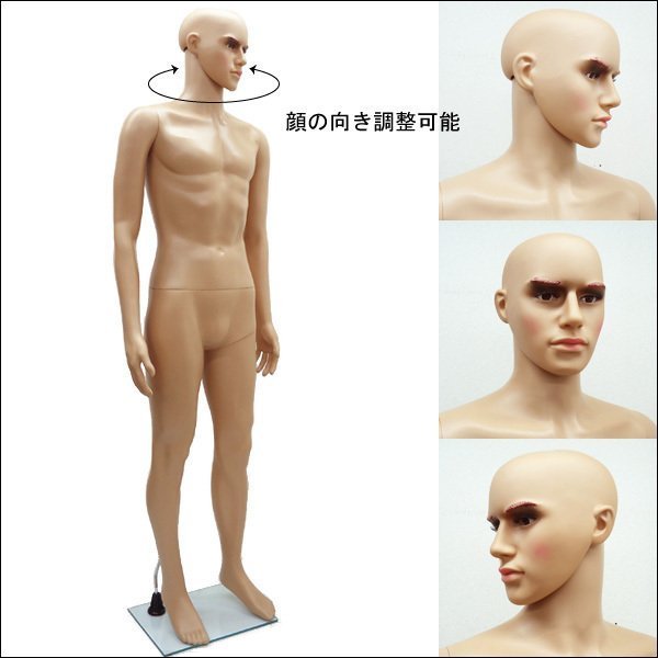 メンズ マネキン【KEN】軽量 丸洗い 分解可 男性 マネキン ウィッグ