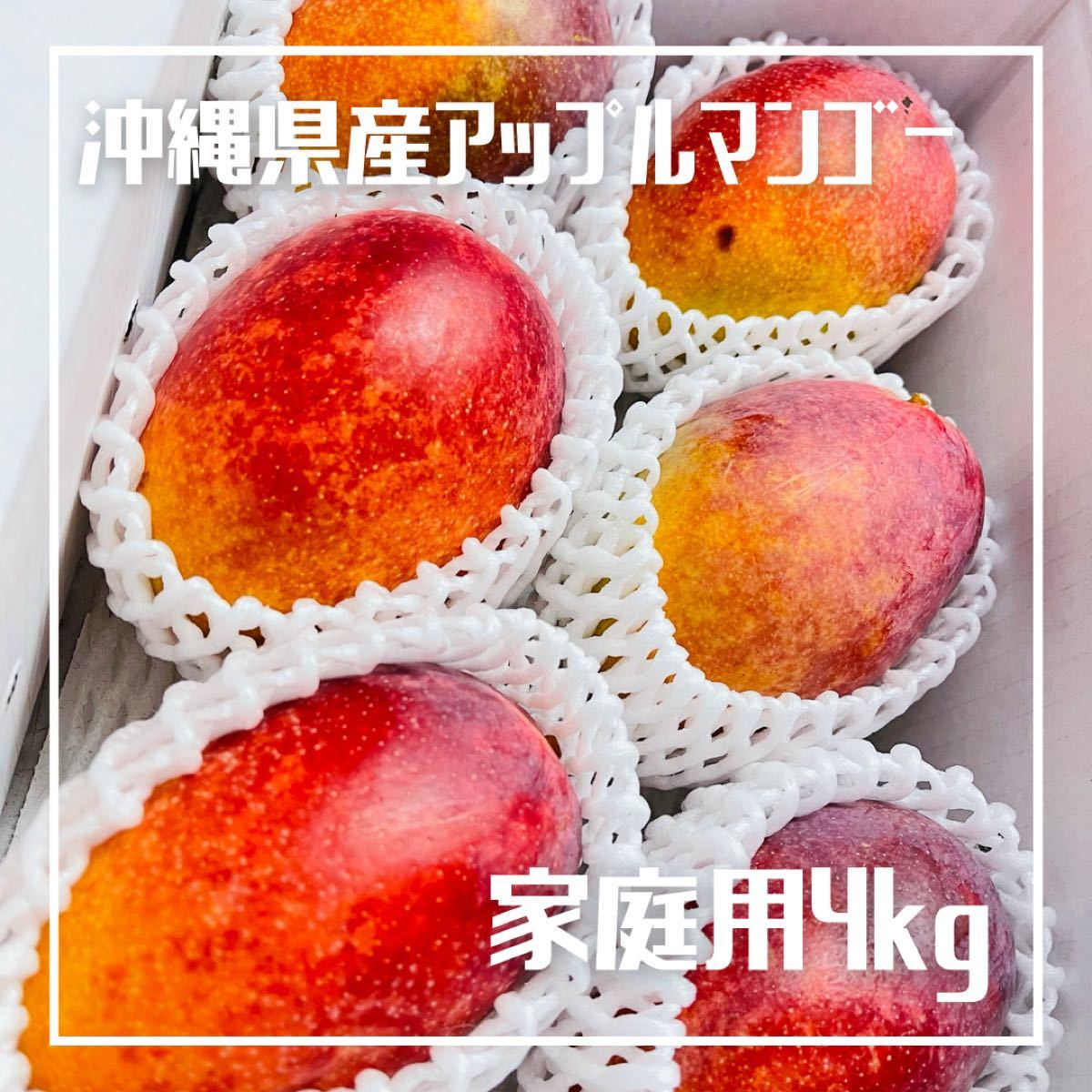 沖縄県産アップルマンゴー家庭用4kg