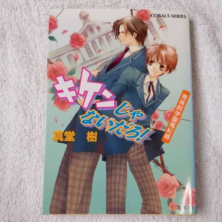 キケンじゃないだろ! 青桃院学園風紀録 (青桃院学園風紀録シリーズ) (コバルト文庫) 真堂 樹 松本 テマリ 9784086148610_画像1