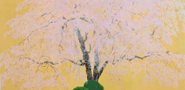 中島千波「桜」ジクレー 額装 サイン有 限定 11/200 日本美術院 日本