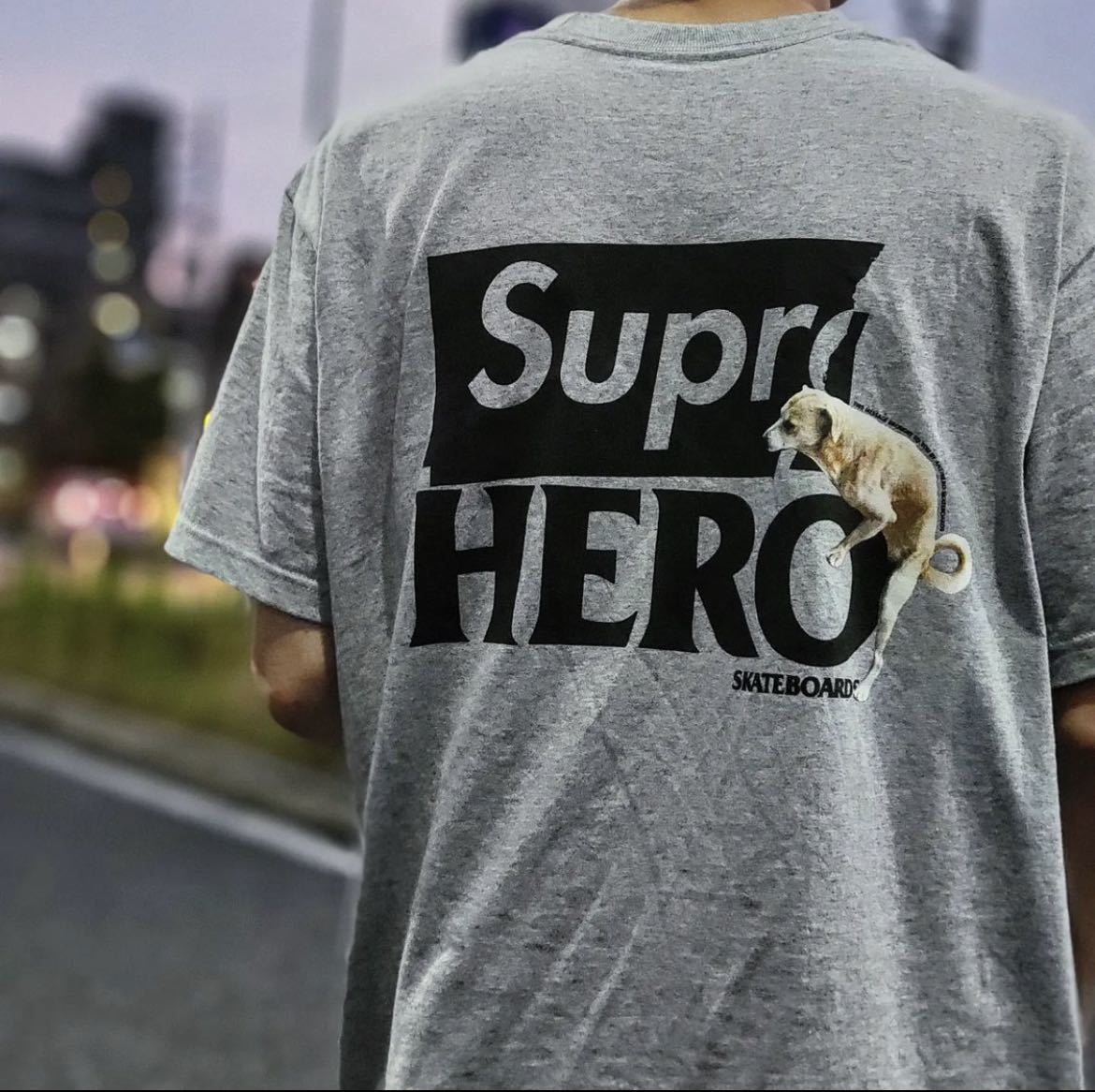 【までの】 Supreme Antihero Dog Tee White Mサイズ lRWod-m14782612254 ブランド