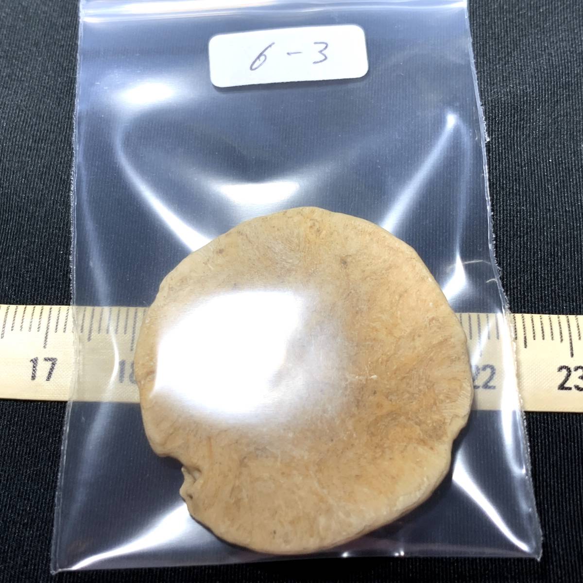エジプト産の煎餅にそっくりな海洋生物化石　6-3・11g（エジプト産化石標本）_画像3