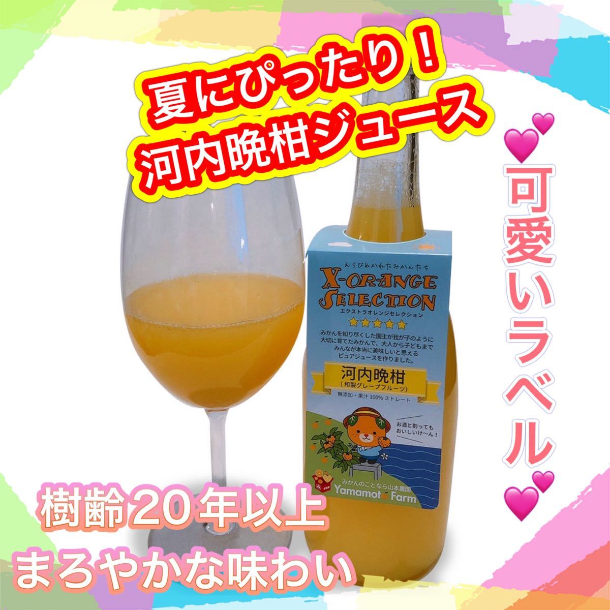 河内晩柑ジュース　ストレート　果汁100%    酵素　無添加  