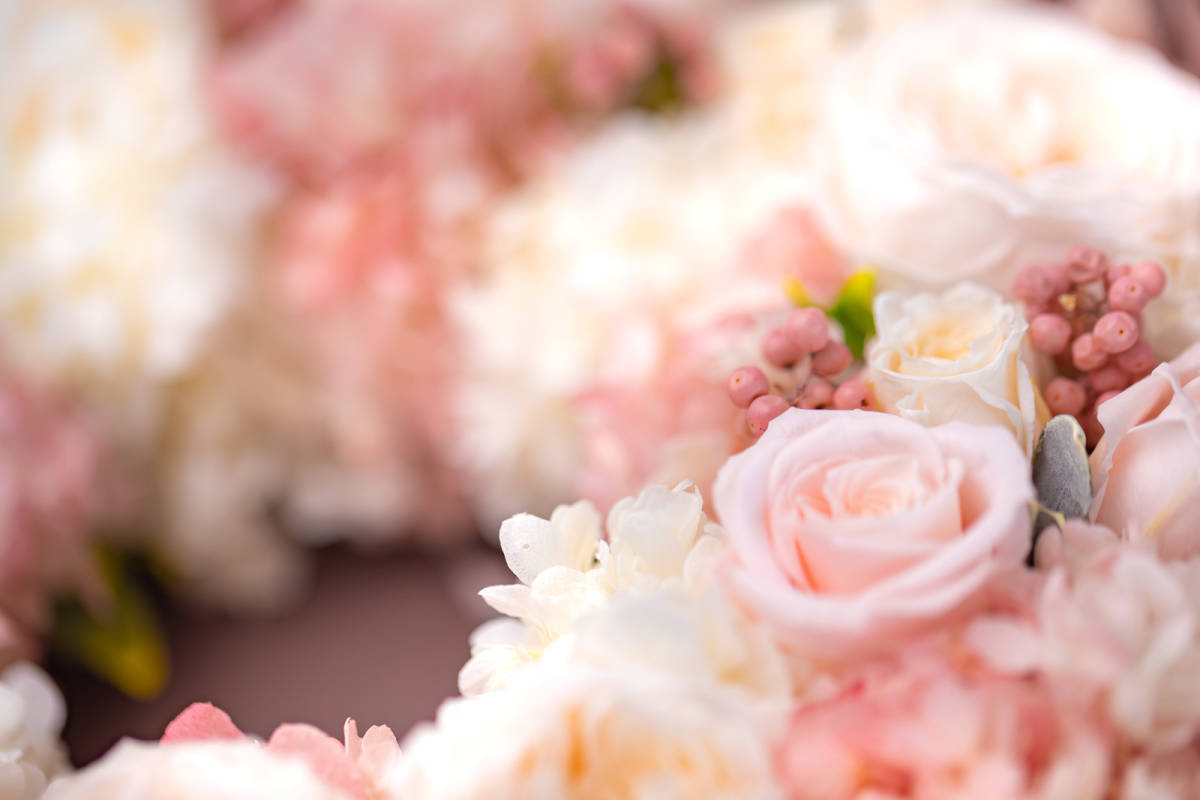薔薇の画像 花 即決 壁紙 待ち受け 景色 素材 送料無料 風景 アウトレット 送料無料 風景 薔薇の画像 花 即決 壁紙 待ち受け 景色 素材 送料無料 風景 アウトレット 送料無料 風景