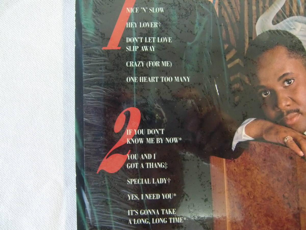 Freddie Jackson フレディ・ジャクソン / Don't Let Love Slip Away - Nice 'N' Slow ナイスン・スロー - Hey Lover -_画像3