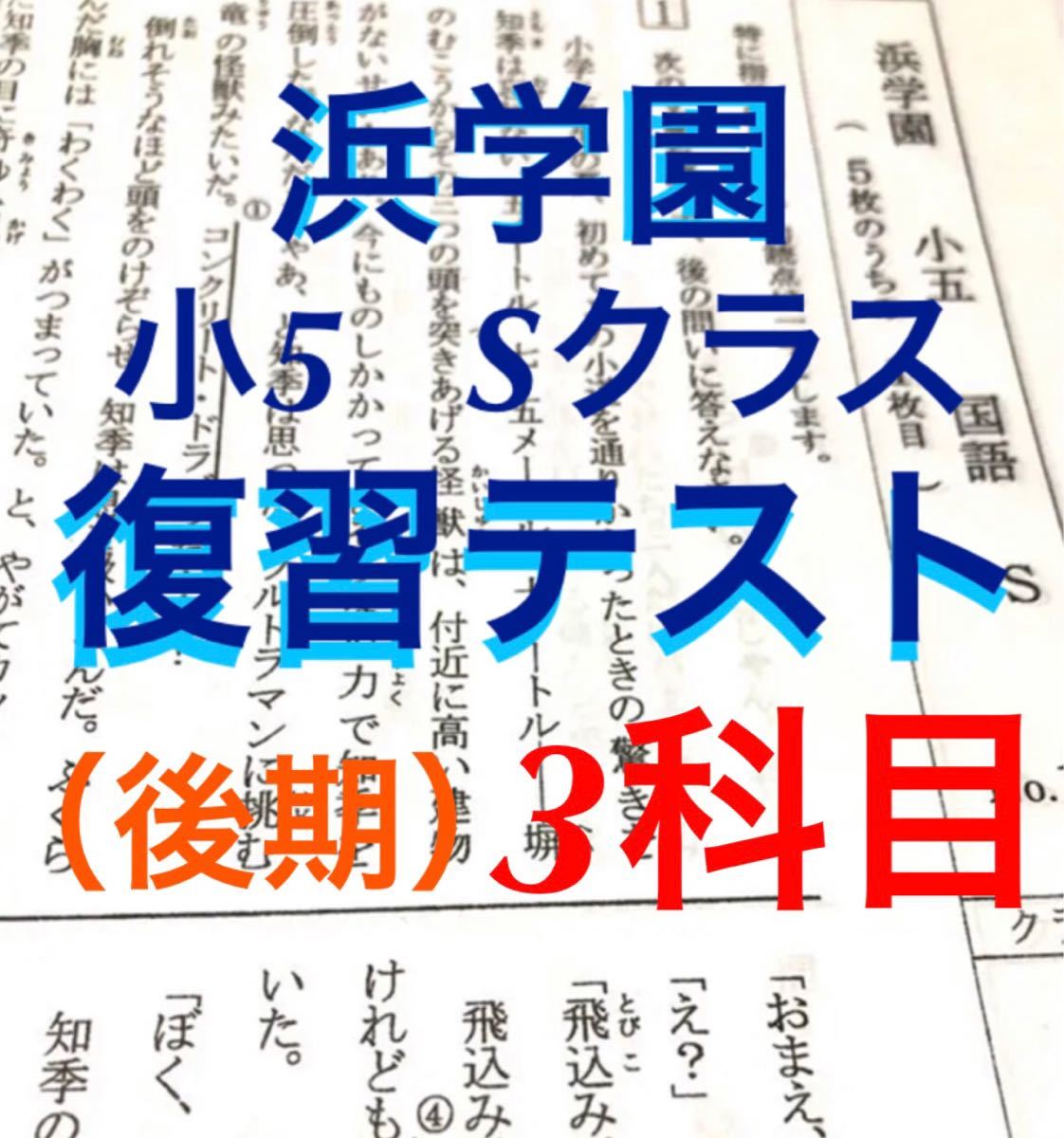 浜学園小6 2022年度 Vクラス復習テスト 1年分 3科目 【解答用紙付き】l 