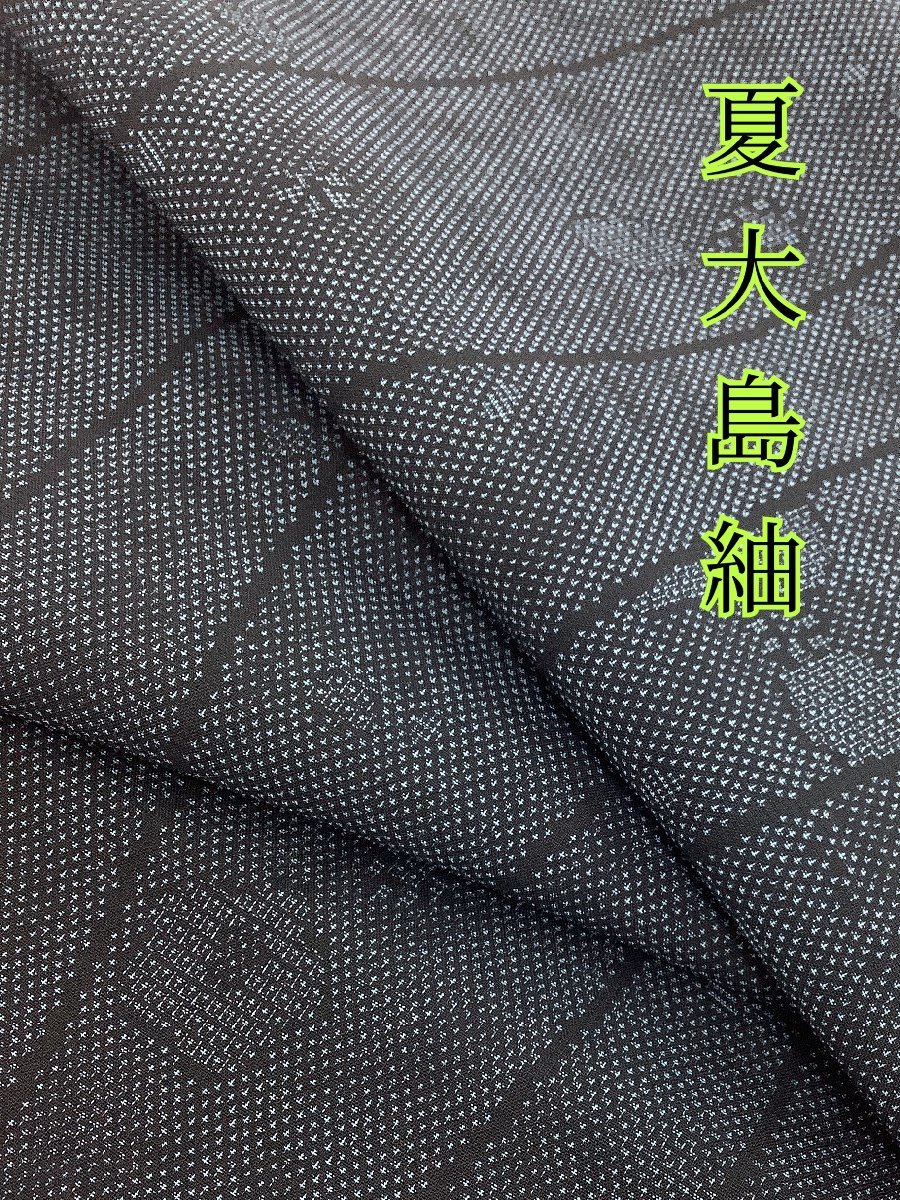 きものcocon☆大島紬☆夏大島紬/夏着物/単衣/正絹/紺系/身丈164/裄67