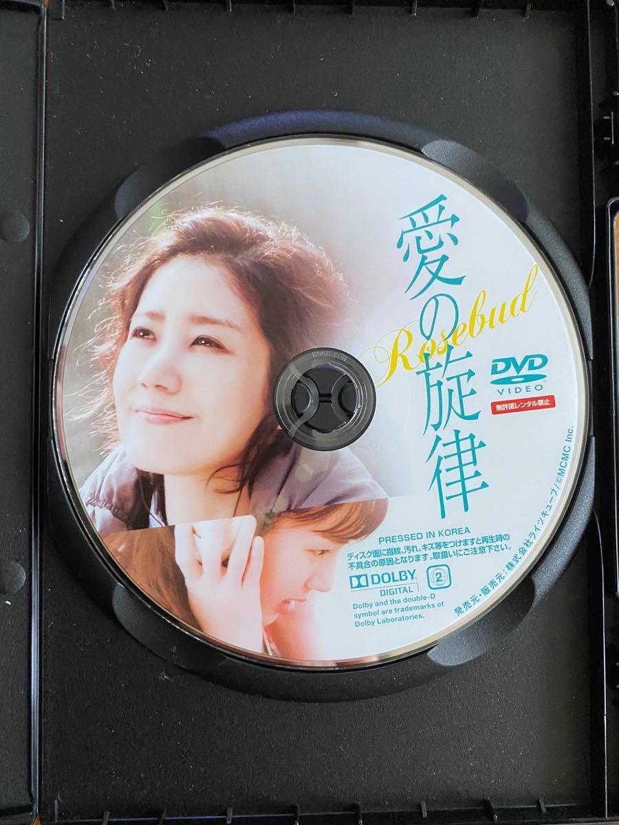 【韓国映画】愛の旋律   ユ・ホジュン　チュ・ウシク