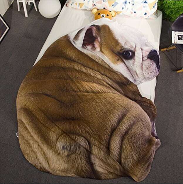 可愛(ài)い 毛布犬柄 ブランケット 防寒対策 ひざ掛け 夏かけ布団170x235 ブルドッグ
