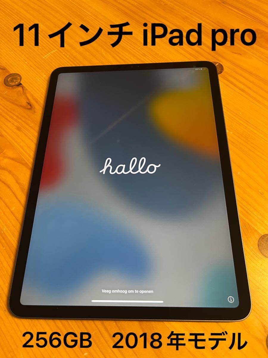 11インチiPadpro 256GB 2018年Wi-Fiモデル iPad スペースグレー