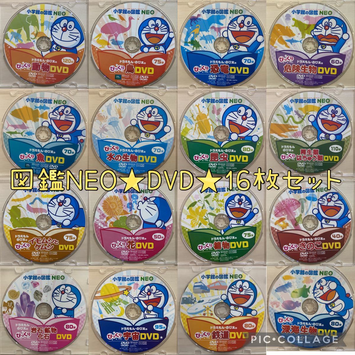 激安正規 だいすき マウス 全6巻セット DVD いきものシリーズ ものが