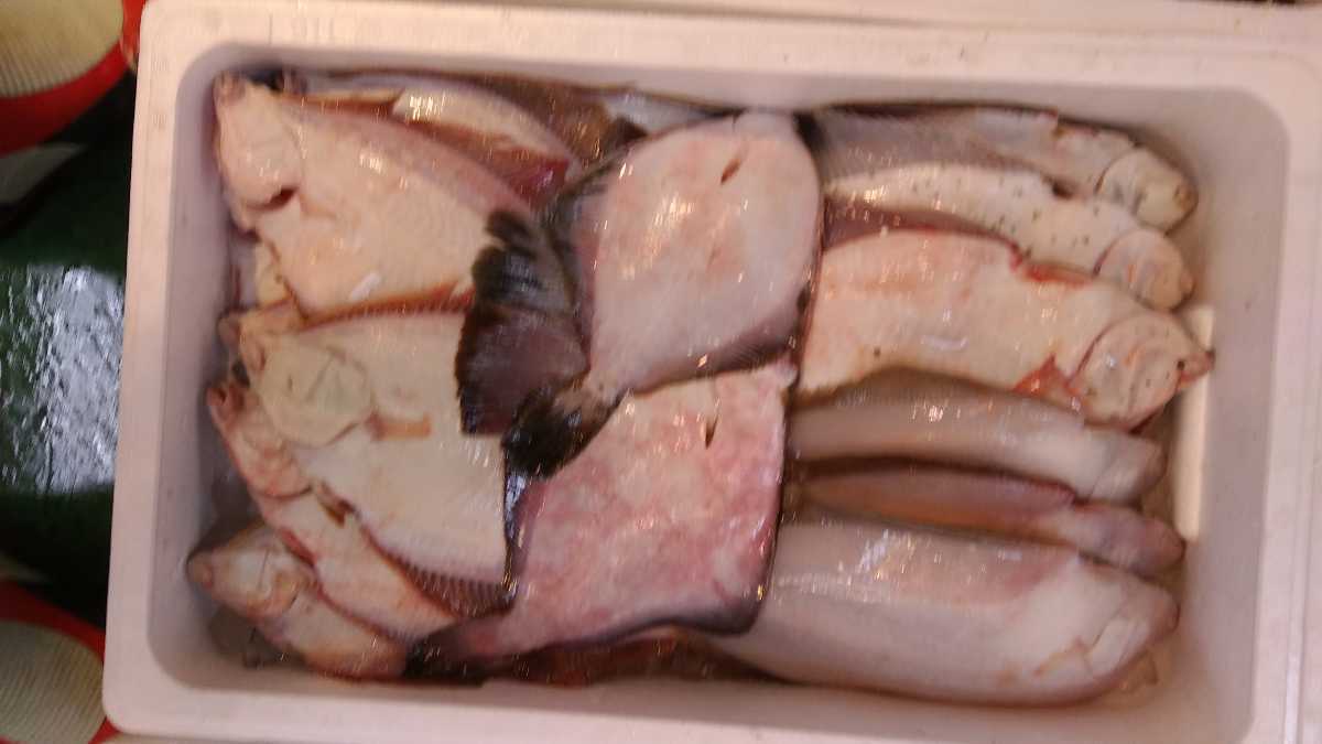 （魚）青森漁師さんのびっくり玉手箱「朝とれ魚介類」1k998円即決_画像6