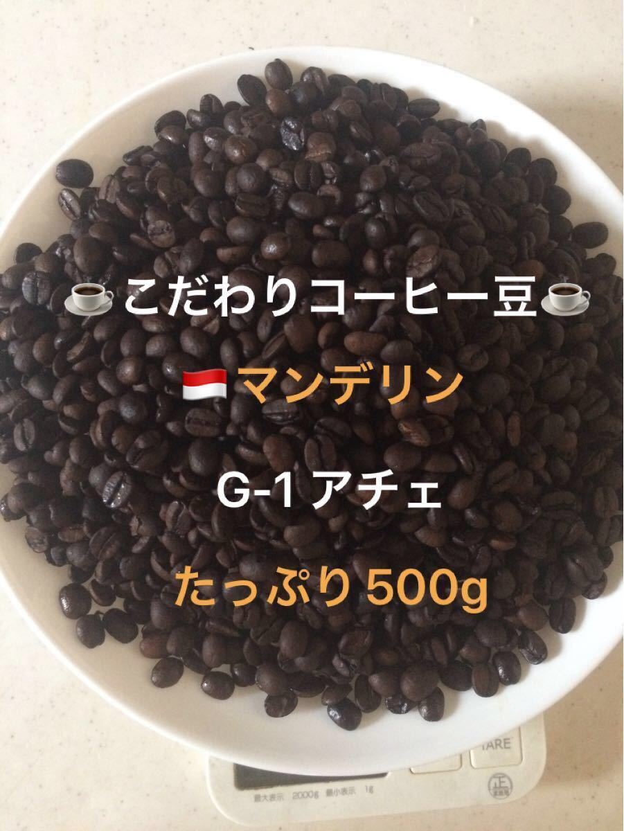 こだわりコーヒー豆　マンデリン　アチェ　500g 中深煎り　自家焙煎珈琲　G-1  SCAA84.0点　アイス珈琲　水出しコーヒー