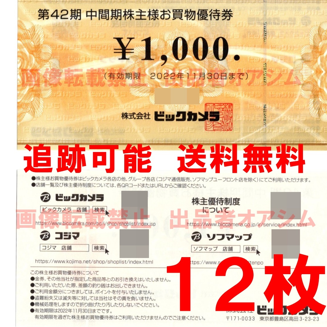 １２０００円分 ビックカメラ株主お買物優待券（１０００円券×１２枚
