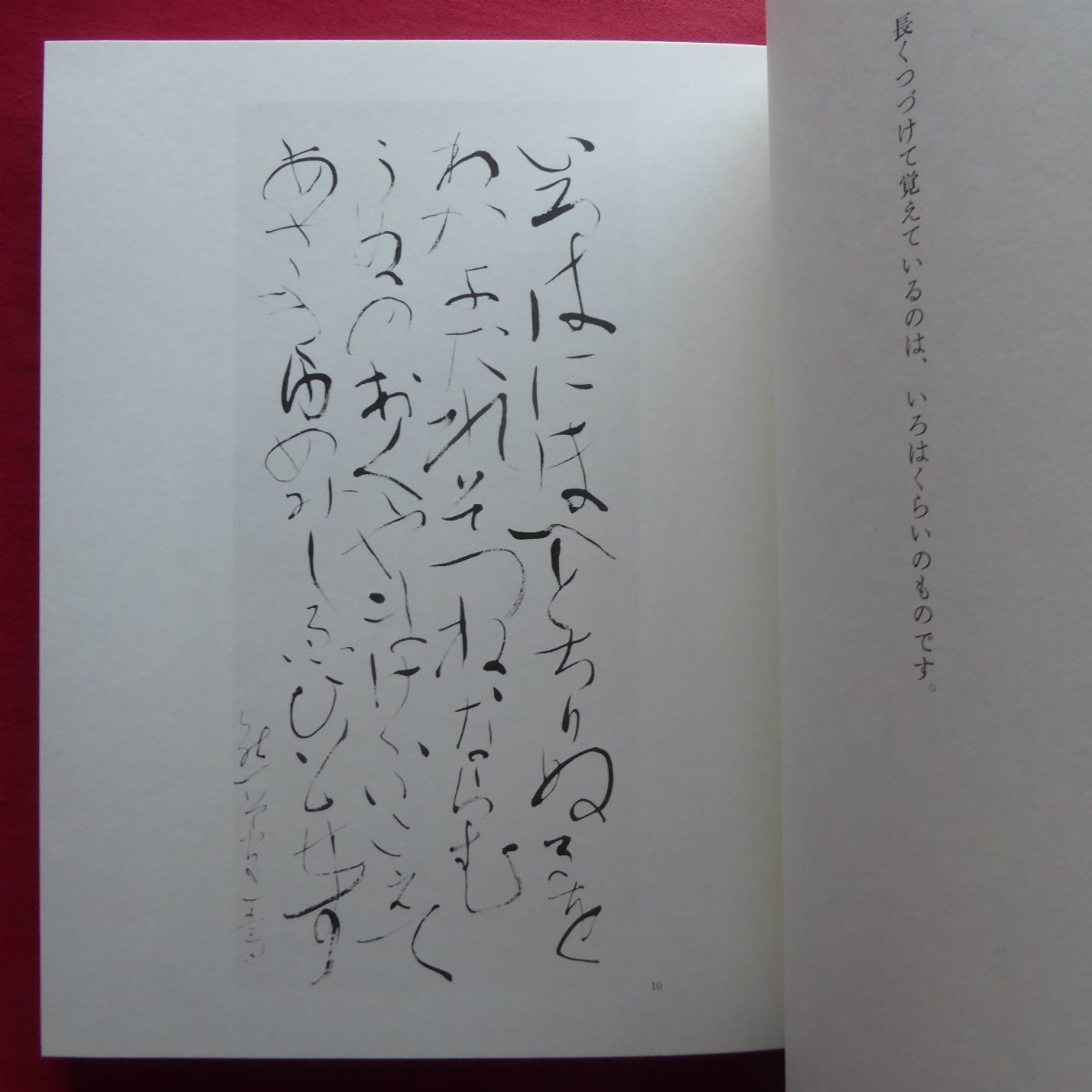 送料込 (限定本) 書 熊谷守一 熊谷守一 - htii.edu.kz