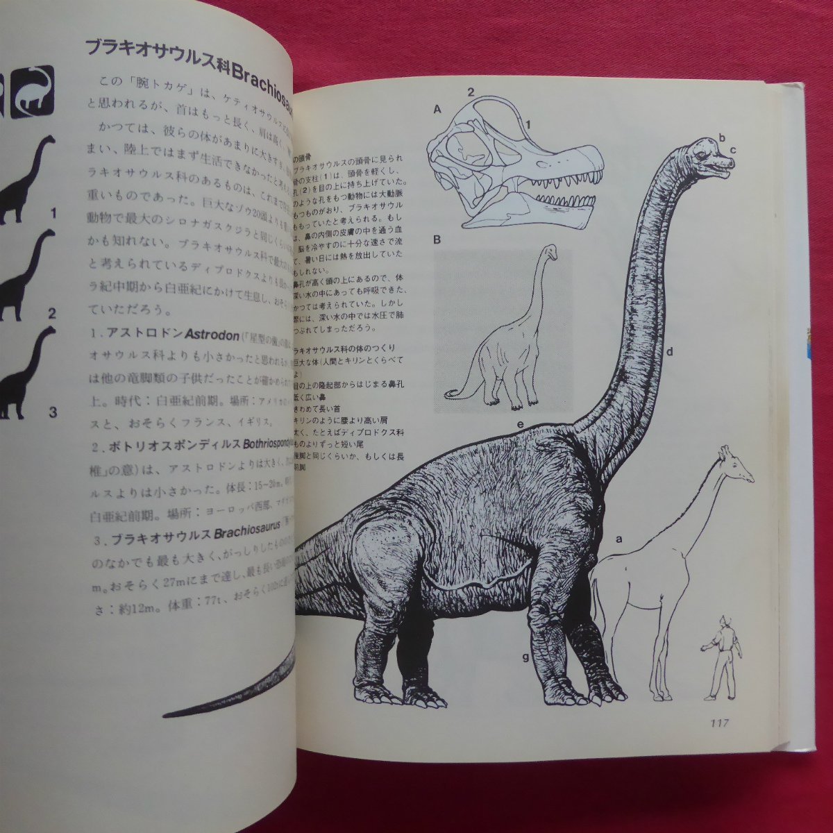10/ David * Ran bar to compilation [ dinosaur. various subjects / Heibonsha *1985 year ] dinosaur is some / dinosaur. birth / dinosaur. discovery / dinosaur ... world 