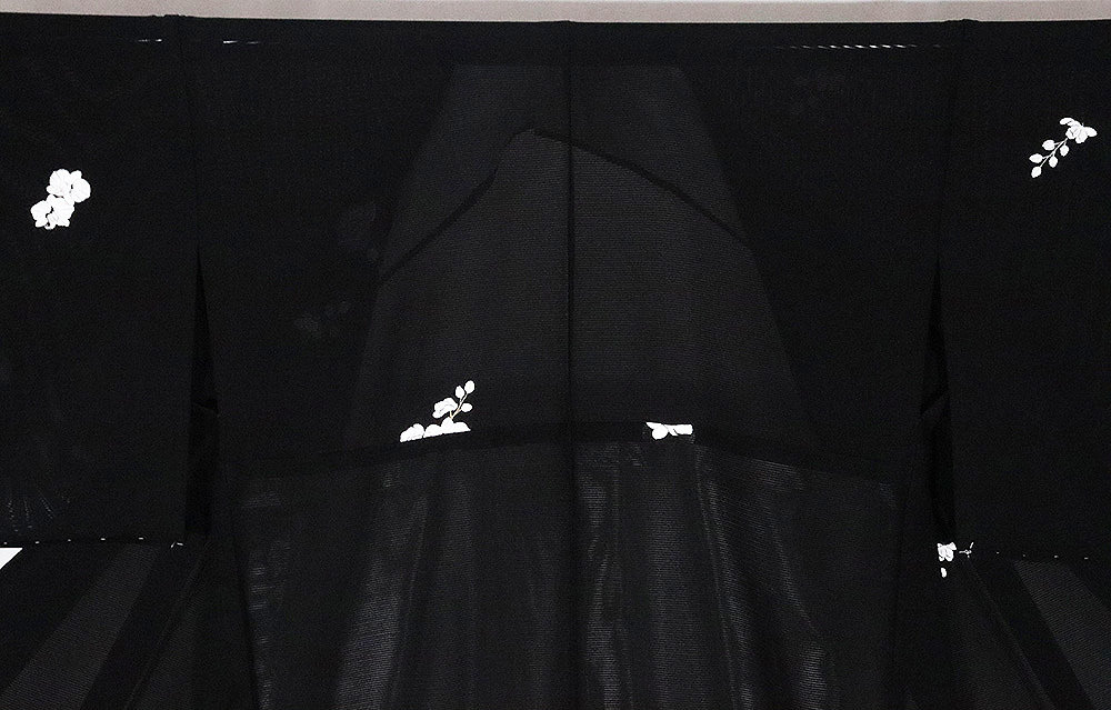 絽 訪問着 正絹 黒 総刺繍 胡蝶蘭 トールサイズ LLサイズ ki26857 新品