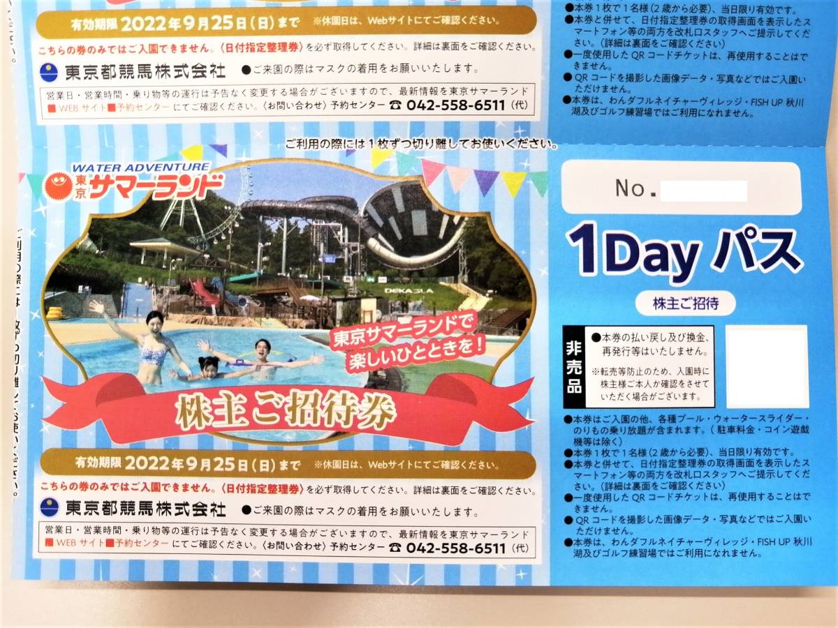 ☆即決 東京都競馬（東京サマーランド）株主ご招待券 株主優待券１Day