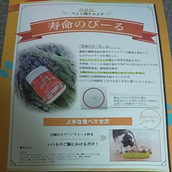 値下げ、早い者勝ち) ペッタム寿命のびーる、3セット kanfa720.com