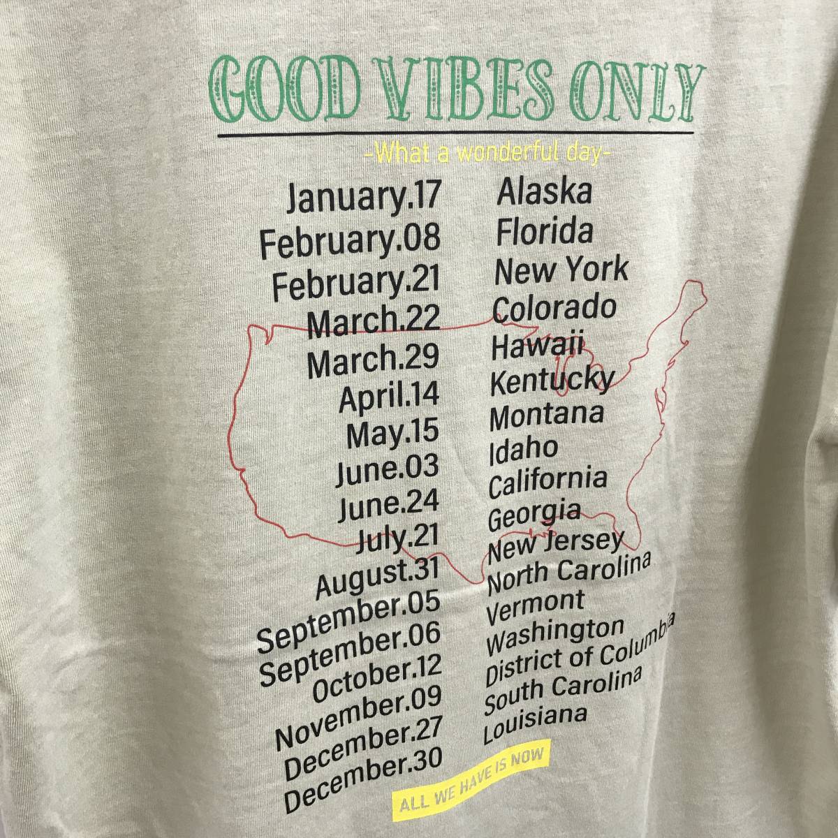 未使用品 /M/ SPINNS ピスタチオ ビッグTシャツ GOOD VIBES ONLY カジュアル トップス メンズ レディース アウトドア ストリート スピンズ