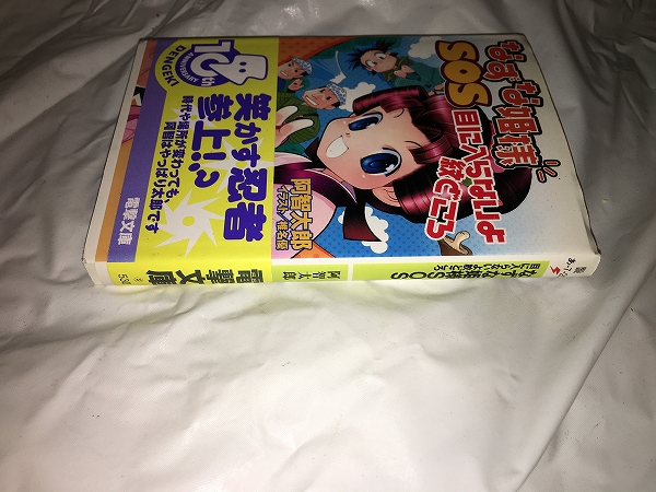 【阿智太郎　なずな姫様　SOS　目に入らないよ紋どころ】_画像3