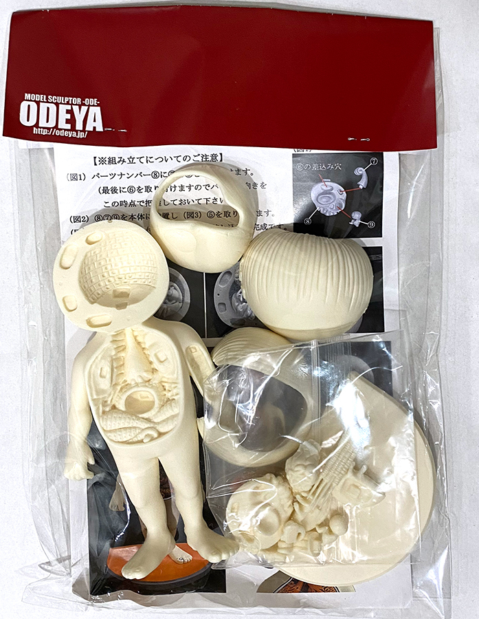 鬼太郎大百科 鬼太郎のひみつ 解剖図 ガレージキット ガレキ 鬼太郎大百科 鬼太郎のひみつ 解剖図 ガレージキット ガレキ