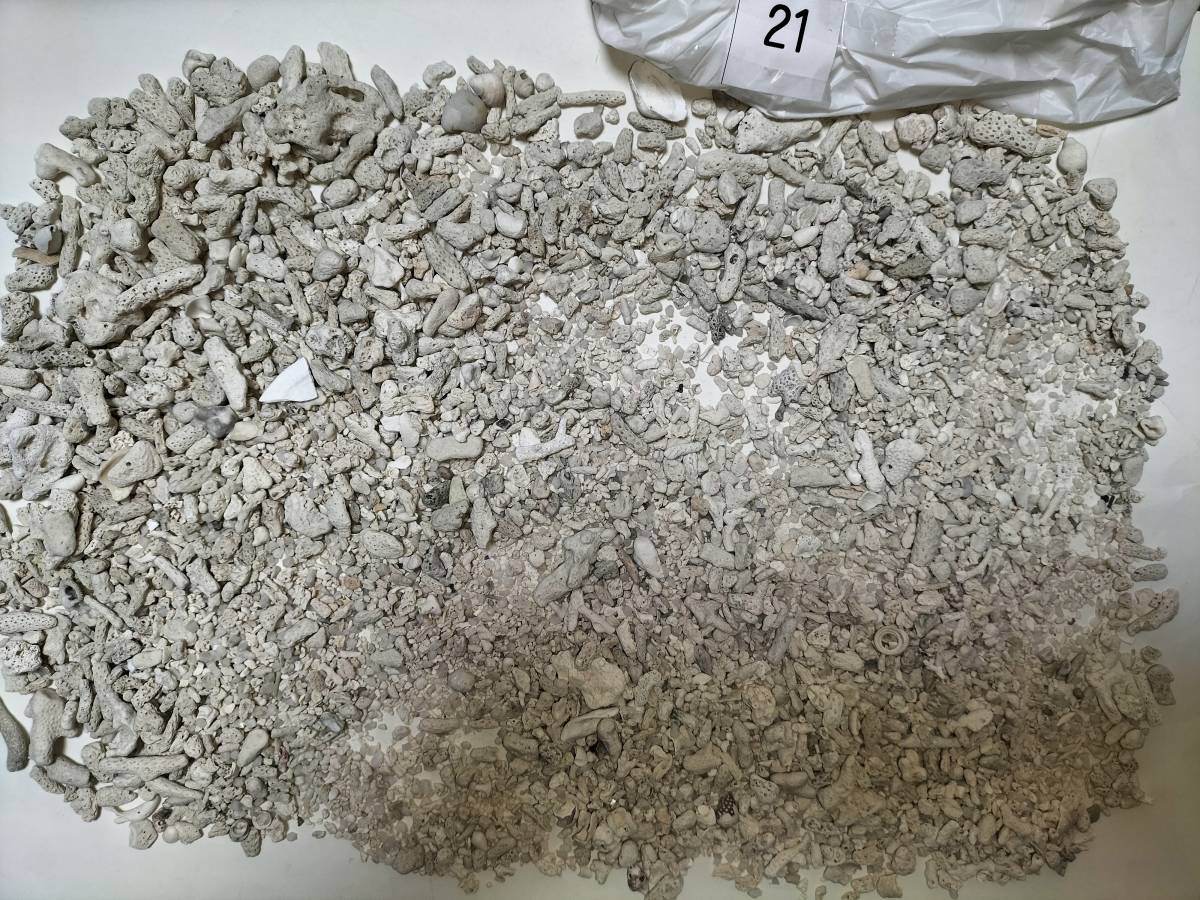 珊瑚砂 サンゴ砂 重さ1kg 沖縄県 管理番号21_画像5