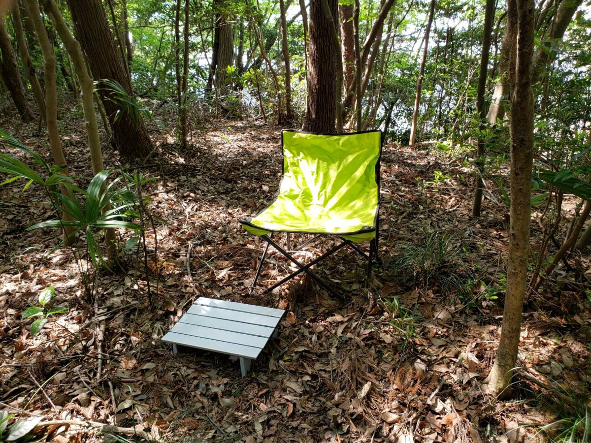 レンタル　山林　山林キャンプで静かに過ごせる森林スペースです_画像2