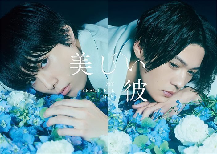 ☆決算特価商品☆ 美しい彼 Blu-ray BOX 萩原利久 八木勇征