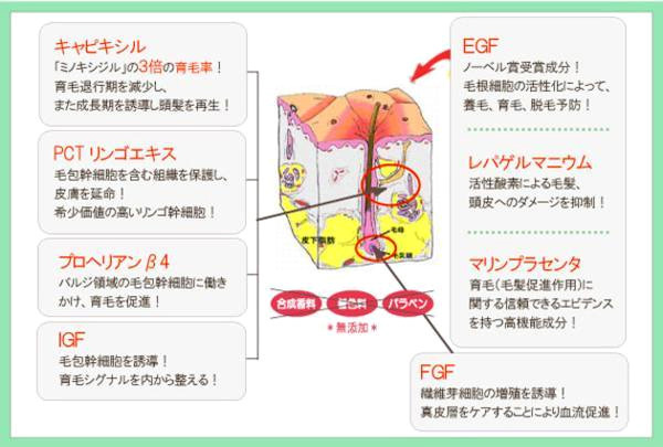 CroixスカルプエッセンスEX 2本セット 抜け毛 薄毛 育毛対策に！あの発毛成分の3倍効果 キャピキシル、IGF FGF EGF等配合 育毛サロン育毛剤_画像4