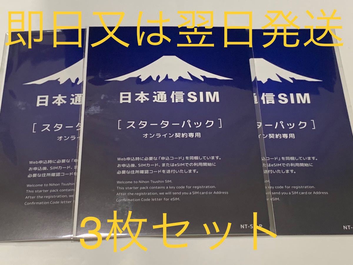 3枚セット 日本通信SIM スターターパック 合理的プラン 格安SIM 有効期限11月末日 1GBまで月額290円可能