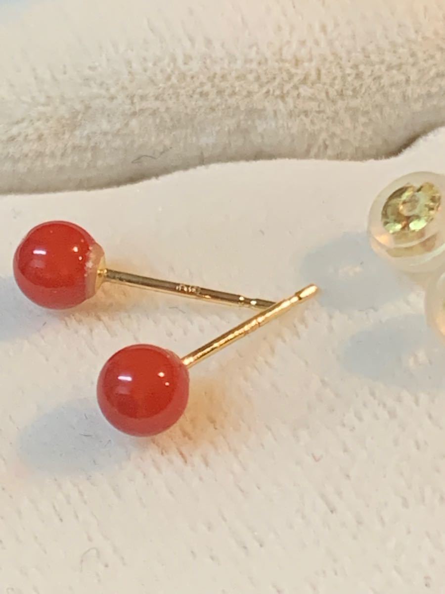 K18赤珊瑚ピアス 限定品 | contifarma.pe