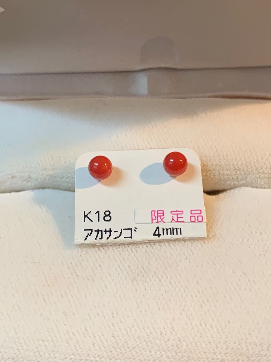 K18赤珊瑚ピアス 限定品 | contifarma.pe