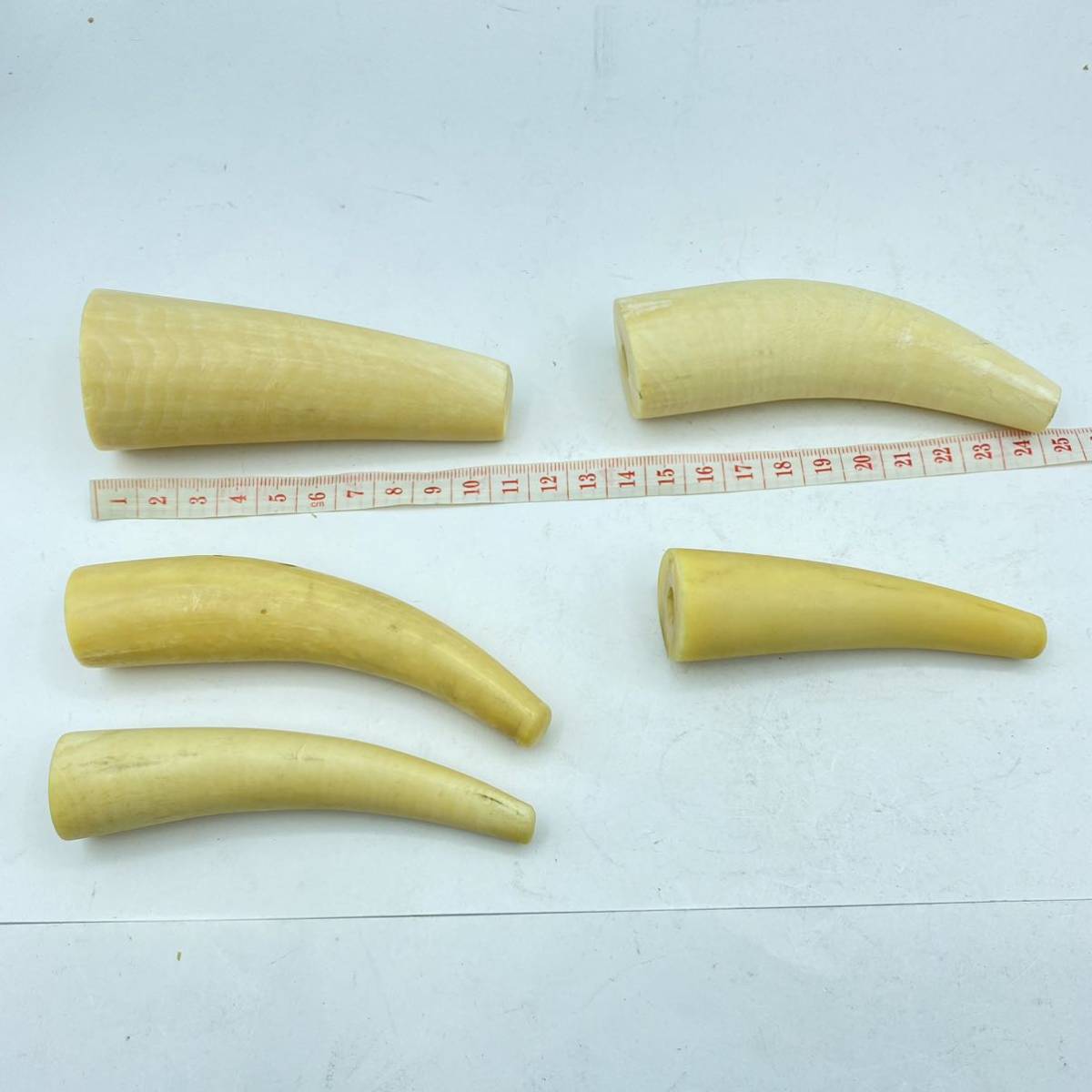 6月⑤】鯨 歯 牙 マッコウクジラ? 抹香鯨 総重量 約1935g 大小 10本